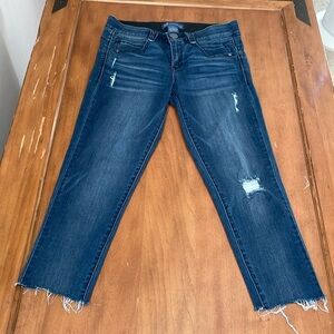 DEMOCRACY AbSolution Distressed Ankle Jeans Size 4
